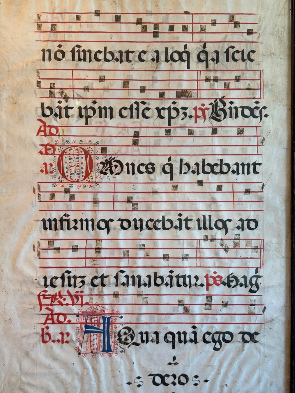 Feuille encadrée d'un antiphonaire, manuscrit enluminé en latin