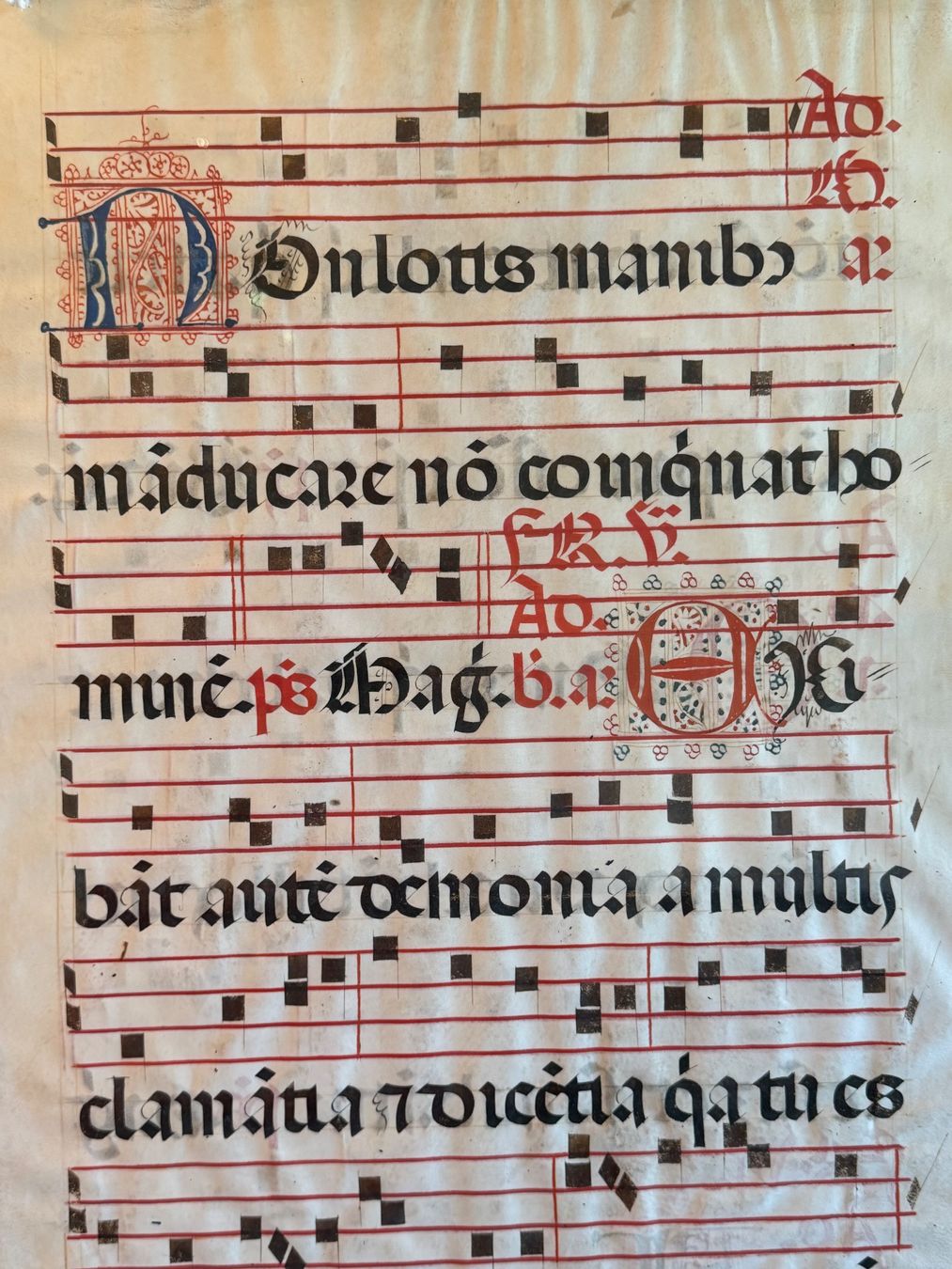 Feuille encadrée d'un antiphonaire, manuscrit enluminé en latin