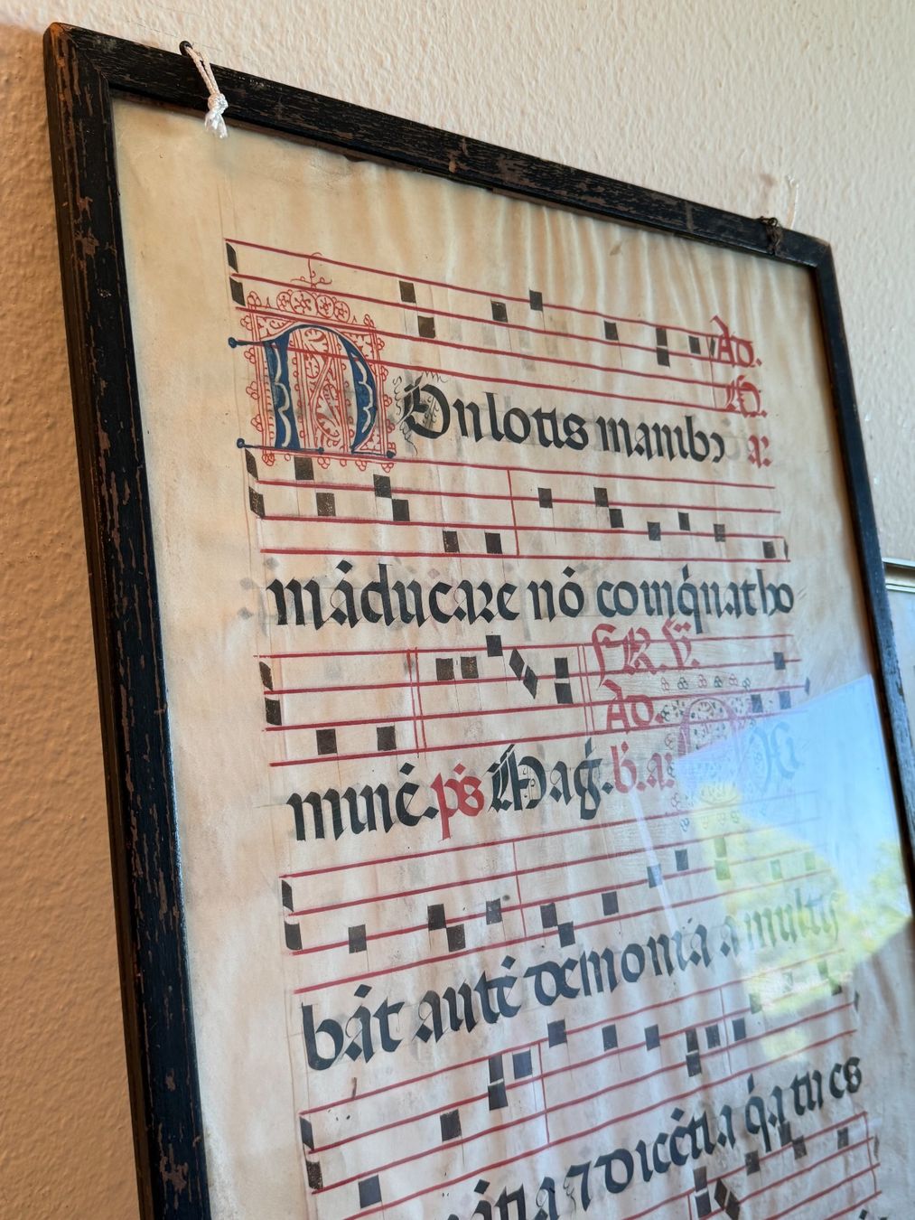 Feuille encadrée d'un antiphonaire, manuscrit enluminé en latin