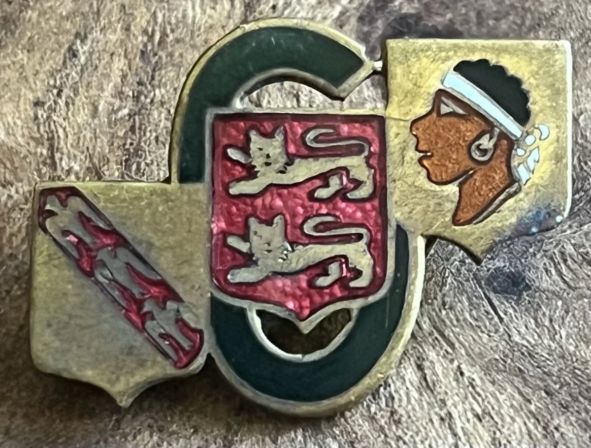 Insigne Air de la 6ème escadre de chasse datant de 1946-1947