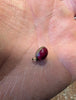 Collier bakélite cherry amber faturan