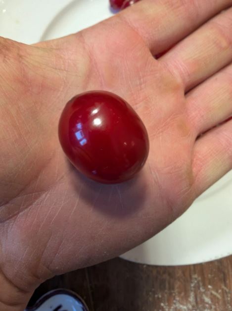 Collier bakélite cherry amber faturan