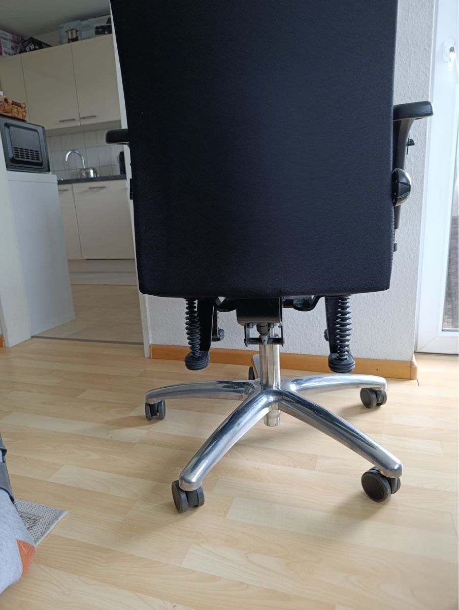 Chaise de bureau orthopédique Bioswing