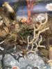 Diorama Verre filé Nevers 19è XIXè Art populaire Paysage Animaux Curiosité Rare