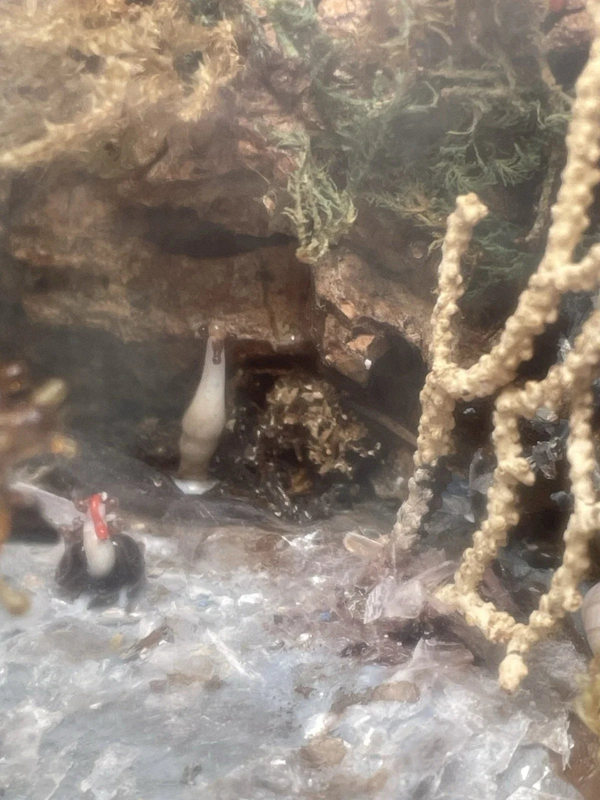 Diorama Verre filé Nevers 19è XIXè Art populaire Paysage Animaux Curiosité Rare