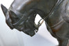 Sculpture ancienne en bronze de Rudolf Kaesbach (1873-1955). Napoléon à cheval