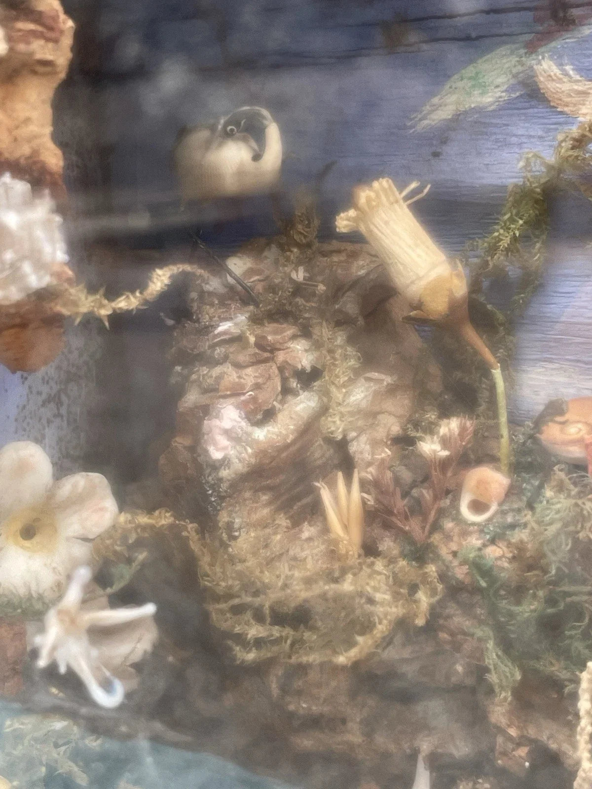 Diorama Verre filé Nevers 19è XIXè Art populaire Paysage Animaux Curiosité Rare