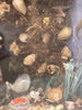Diorama Verre filé Nevers 19è XIXè Art populaire Paysage Animaux Curiosité Rare