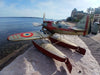 JEP HYDRAVION COUPE SCHNEIDER NO JRD CIJ BING JOUET ANCIEN BATEAU BASSIN