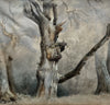 Dessin Ancien Paysage Arbres Barbizon Tableau 19ème Monogramme Théodore ROUSSEAU