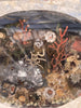 Diorama Verre filé Nevers 19è XIXè Art populaire Paysage Animaux Curiosité Rare