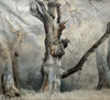 Dessin Ancien Paysage Arbres Barbizon Tableau 19ème Monogramme Théodore ROUSSEAU