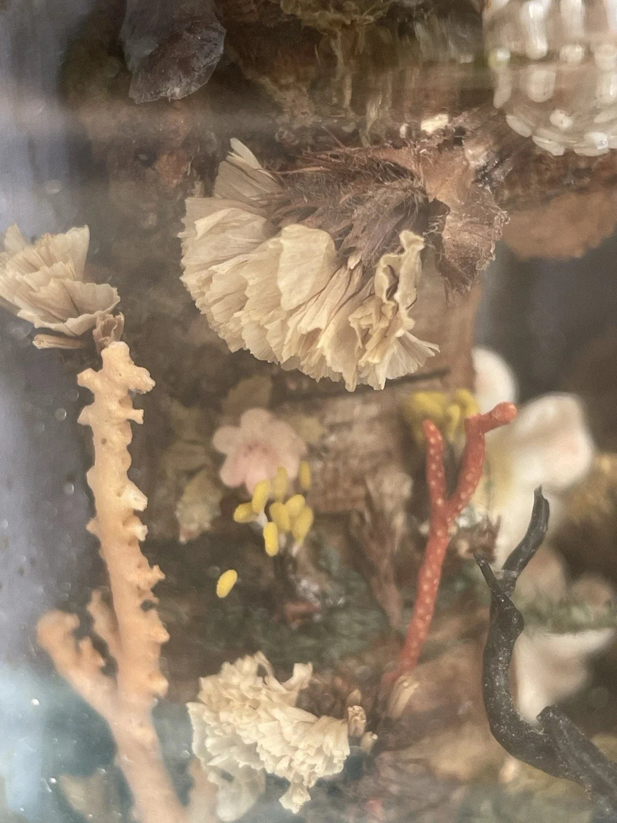 Diorama Verre filé Nevers 19è XIXè Art populaire Paysage Animaux Curiosité Rare