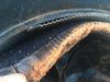 Casque adrian mod. 15 de chasseur