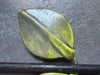 Miroir à main Mithé Espelt 1960 mithe espelt céramique 1950 1960