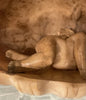 Sculpture 19ème XIXème Albâtre Grand Tour Angelot Putto Coquille Collection Rare