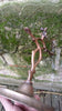 Chandelier en bronze